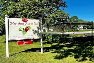 254 Meeting House Creek Rd, Aquebogue, NY 11931 - Photo 29