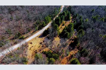 1021 Pine Kill Road, Wurtsboro, NY 12790 - Photo 13