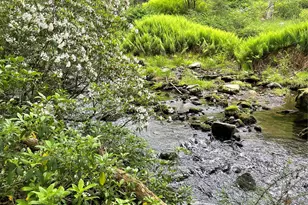 1021 Pine Kill Rd, Wurtsboro, NY 12790 - Photo 33