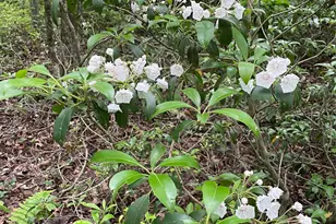 1021 Pine Kill Rd, Wurtsboro, NY 12790 - Photo 5