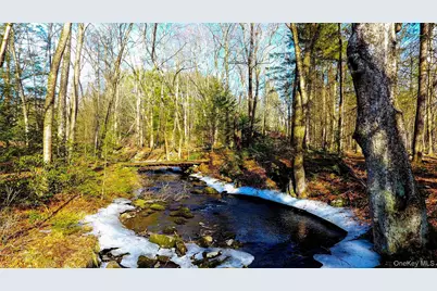 1021 Pine Kill Road, Wurtsboro, NY 12790 - Photo 21