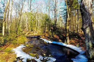 1021 Pine Kill Rd, Wurtsboro, NY 12790 - Photo 19