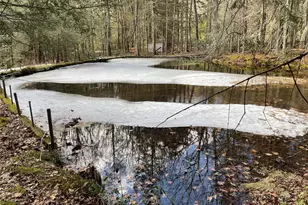 1021 Pine Kill Rd, Wurtsboro, NY 12790 - Photo 13