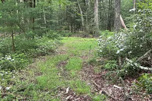 1021 Pine Kill Rd, Wurtsboro, NY 12790 - Photo 7