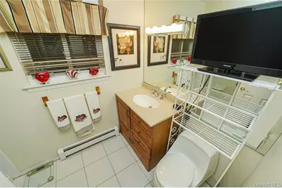 33 Peachtree Lane, Mount Sinai, NY 11766 - Photo 17