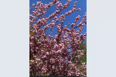 433 Browns Road, Nesconset, NY 11767 - Photo 41