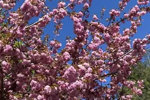 433 Browns Rd, Nesconset, NY 11767 - Photo 41