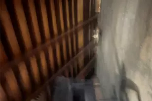 3-03 Beach 84th St, Rockaway Beach, NY 11693 - Photo 11