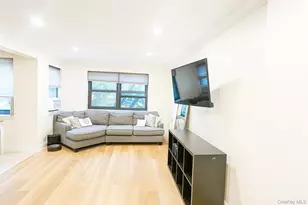 60 White Oak St, New Rochelle, NY 10801 - Photo 11