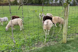 4100 Youngs Ave, Southold, NY 11971 - Photo 33