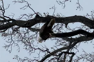 523 N Midland Ave, Nyack, NY 10960 - Photo 19