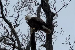 523 N Midland Ave, Nyack, NY 10960 - Photo 19