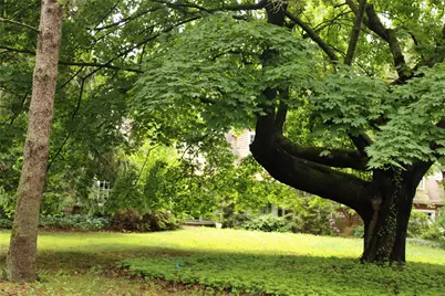 7 Locust Lane, Glen Head, NY 11545 - Photo 15