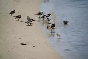 846 Dune Rd, Westhampton Beach, NY 11978 - Photo 33