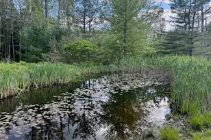 94 The Middle Way, Mount Tremper, NY 12457 - Photo 31