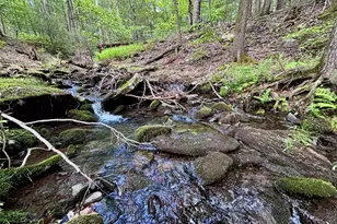 94 The Middle Way, Mount Tremper, NY 12457 - Photo 29