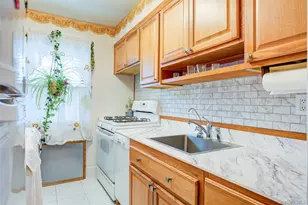 196-57 69th Ave, Fresh Meadows, NY 11365 - Photo 11