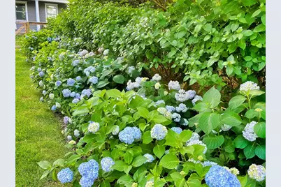 203 Noyack Road, Southampton, NY 11968 - Photo 31