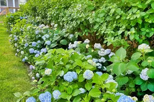 203 Noyack Rd, Southampton, NY 11968 - Photo 31