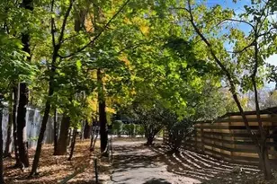 5550 Fieldston Rd, Bronx, NY 10471 - Photo 31