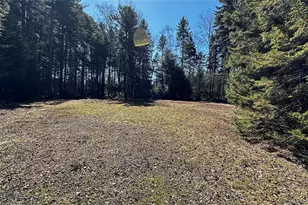 734 Cooley Rd, Parksville, NY 12768 - Photo 43