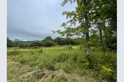 Basil Todd Road, Fleischmanns, NY 12430 - Photo 5