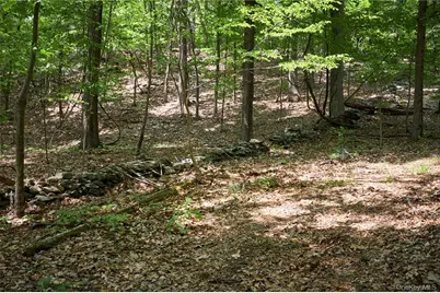 425 Spring Lake Road, Red Hook, NY 12571 - Photo 11