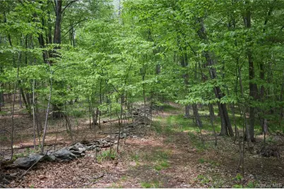 425 Spring Lake Road, Red Hook, NY 12571 - Photo 3