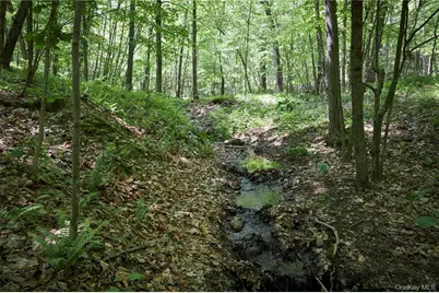 425 Spring Lake Road, Red Hook, NY 12571 - Photo 19