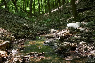 425 Spring Lake Road, Red Hook, NY 12571 - Photo 5