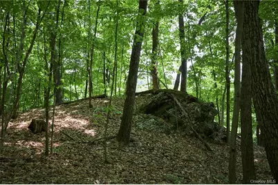 425 Spring Lake Road, Red Hook, NY 12571 - Photo 21