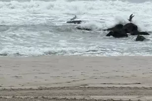 223 E Broadway, Long Beach, NY 11561 - Photo 19