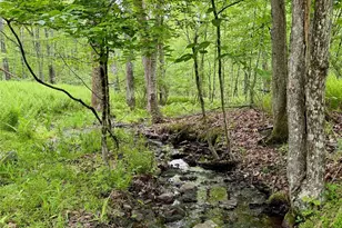 367 Cushetunk Dr, Cochecton Center, NY 12726 - Photo 37