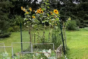 47 Mine Hill Rd, Cornwall, NY 12518 - Photo 39