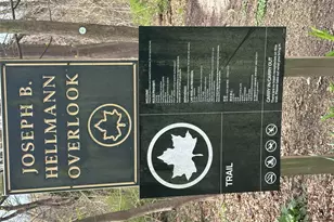 241-20 Northern Blvd, Douglaston, NY 11362 - Photo 27