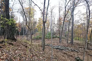 274 Fingar Rd, Hudson, NY 12534 - Photo 47