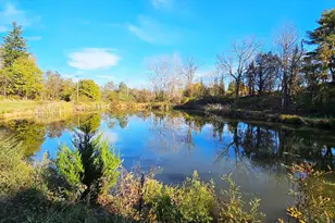 274 Fingar Rd, Hudson, NY 12534 - Photo 23