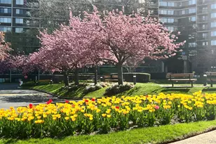 2 Bay Club Dr, Bayside, NY 11360 - Photo 21