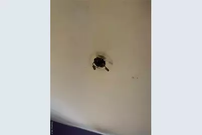 2713 Eastchester Road, Bronx, NY 10469 - Photo 5