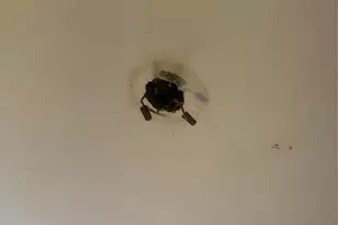 2713 Eastchester Rd, Bronx, NY 10469 - Photo 5