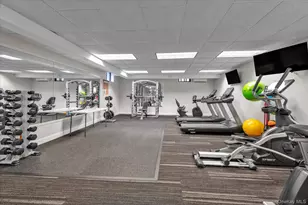 1 Town House Pl, Great Neck, NY 11021 - Photo 13