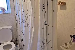 3238 Tenbroeck Ave, Bronx, NY 10469 - Photo 9