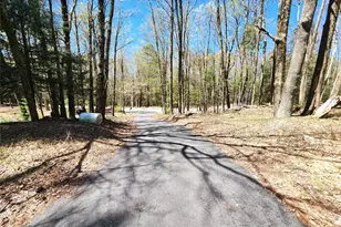 142 Old Tacy Rd, Bethel, NY 12783 - Photo 37