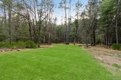 435 State Route 55, Eldred, NY 12732 - Photo 5