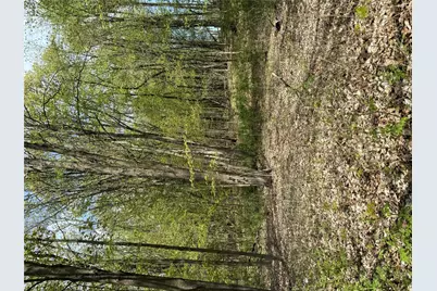 120 Floyd Ackert Road, Esopus, NY 12493 - Photo 3