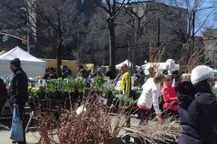 34-20 79th St, Jackson Heights, NY 11372 - Photo 11