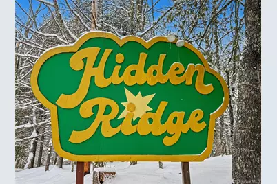 51 Hidden Ridge Terrace, Monticello, NY 12701 - Photo 31