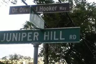 42 Juniper Hill Rd, White Plains, NY 10607 - Photo 29