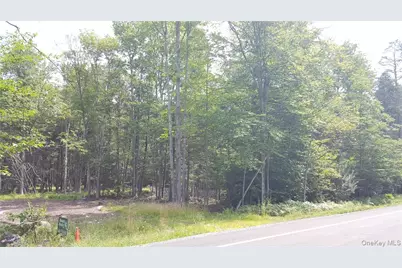 00 State Route 42, Grahamsville, NY 12740 - Photo 3