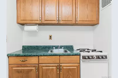 485 E Lincoln Avenue #409, Mount Vernon, NY 10552 - Photo 7